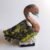 Cisne